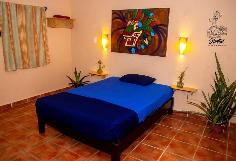호스텔 Venado 8