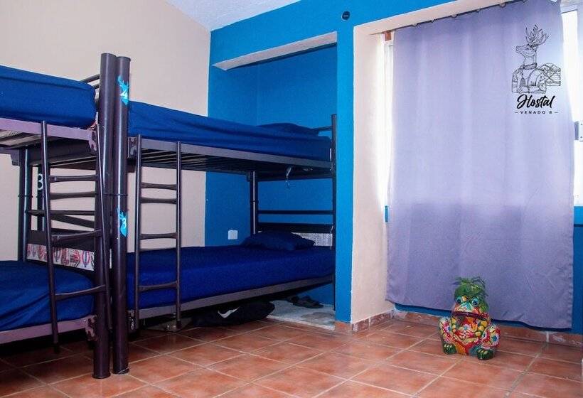 호스텔 Venado 8
