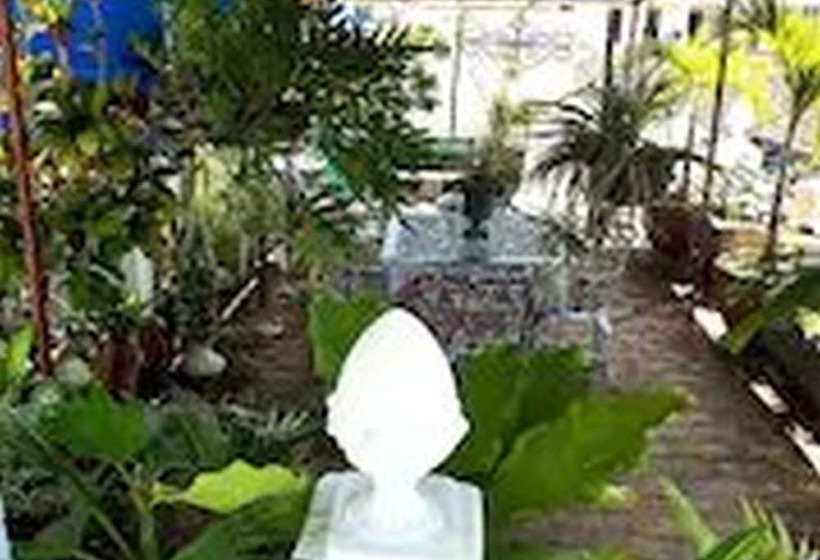 پانسیون Dona Amalia