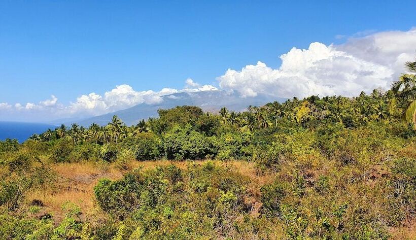 Отель Al Camar Lodge