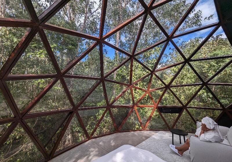 فندق Glass 20.87