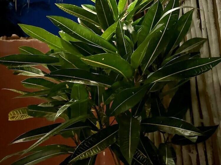 فندق Josh's Paradise