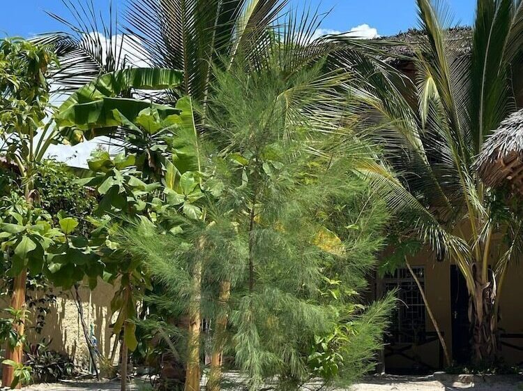 فندق Josh's Paradise