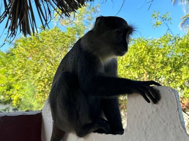 فندق Josh's Paradise