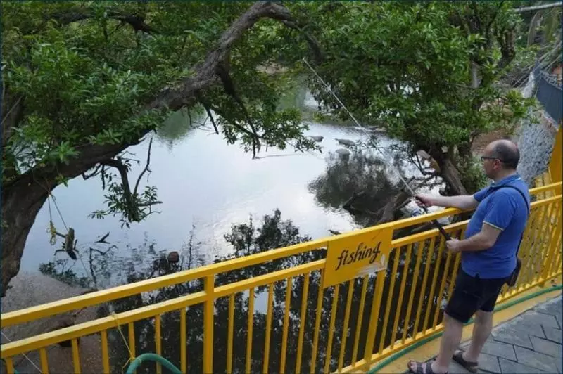 Hotelli Mazhavilkadu Forest Resort & Restaurant