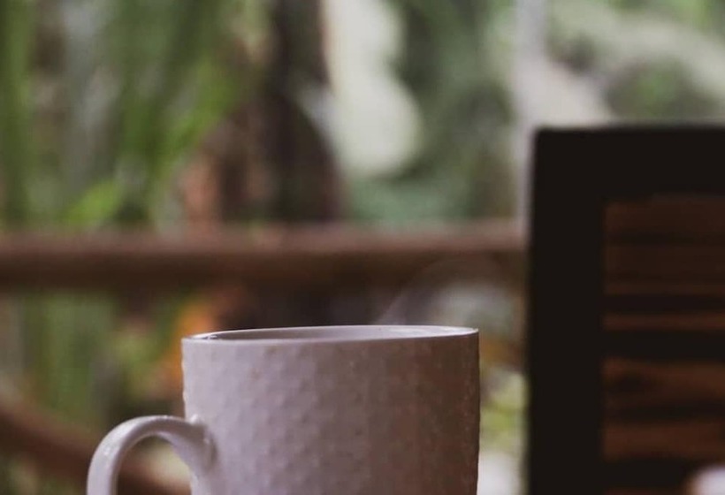 Jangwani River View Inn