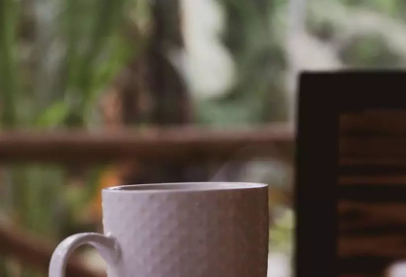 Jangwani River View Inn