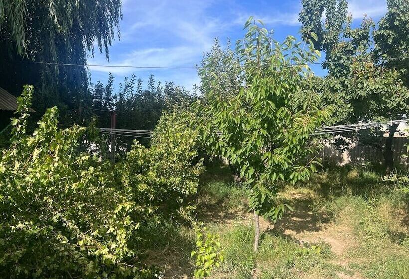 پانسیون Vstrecha