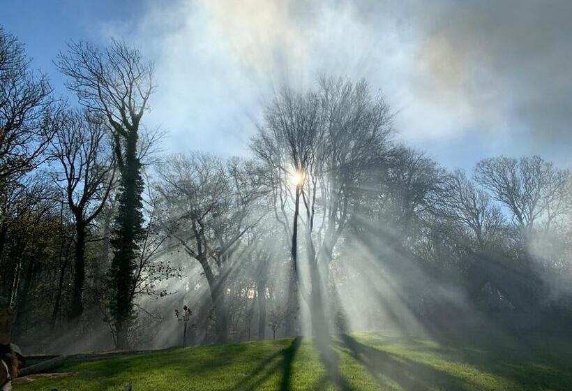 Elm Bell Tent, Anglesey, North Wales