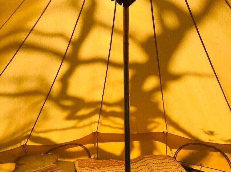 Elm Bell Tent, Anglesey, North Wales