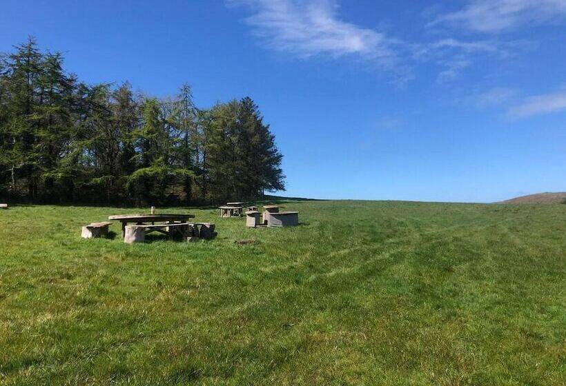 Elm Bell Tent, Anglesey, North Wales