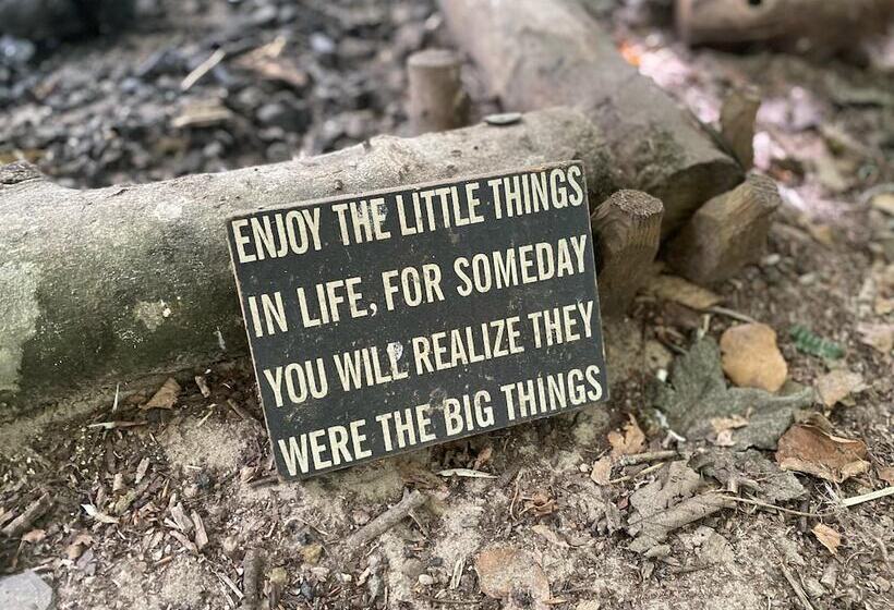 Elm Bell Tent, Anglesey, North Wales