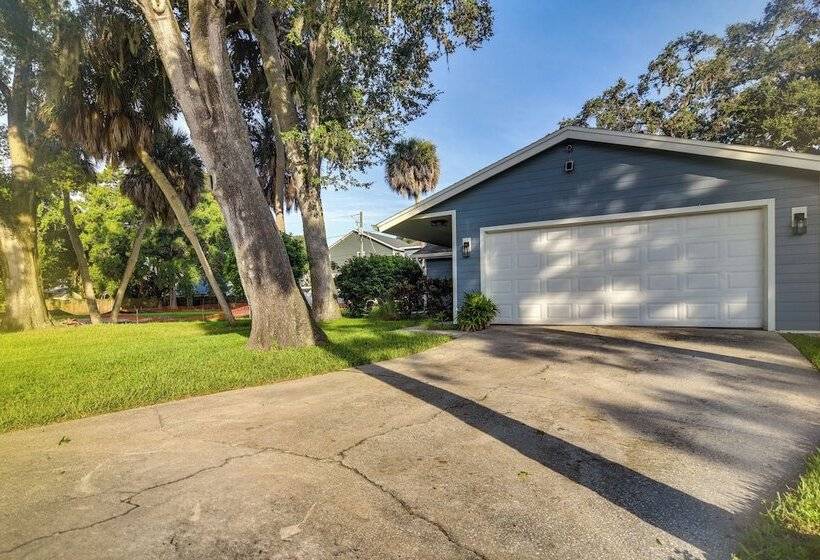 Pet Friendly Tampa Bay Getaway: Walk To The Water!