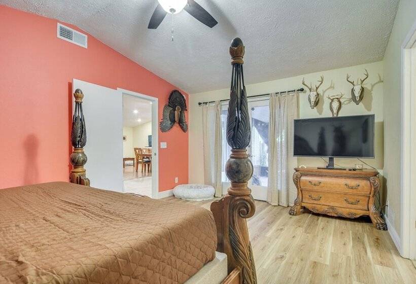 Pet Friendly Tampa Bay Getaway: Walk To The Water!