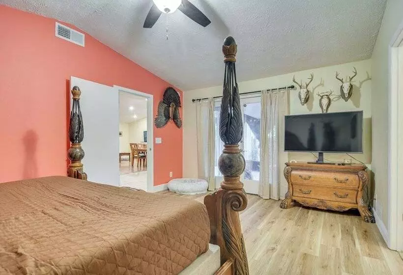 Pet Friendly Tampa Bay Getaway: Walk To The Water!