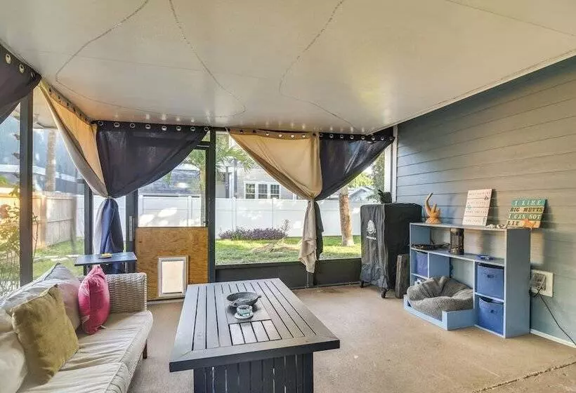 Pet Friendly Tampa Bay Getaway: Walk To The Water!