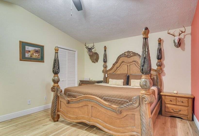 Pet Friendly Tampa Bay Getaway: Walk To The Water!