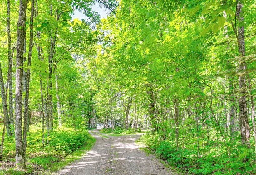 Quiet Presque Isle Home W/ Grill: Families Welcome