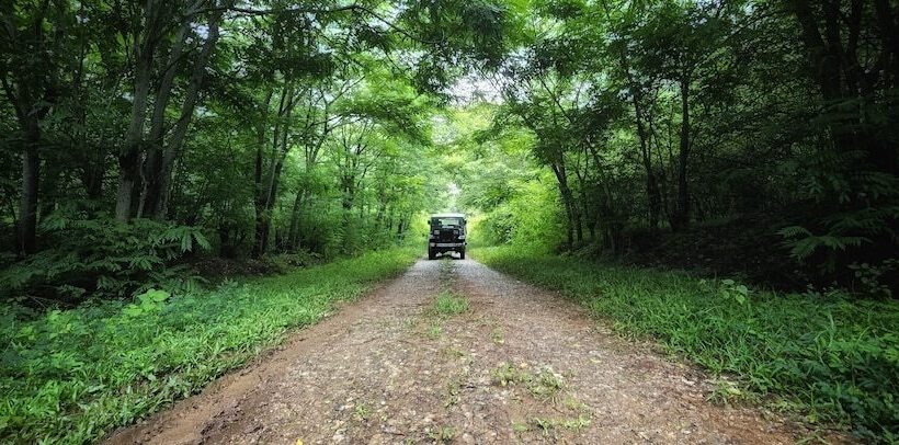 Devigiri Home Stay And Resort