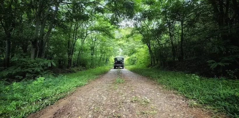 Devigiri Home Stay And Resort