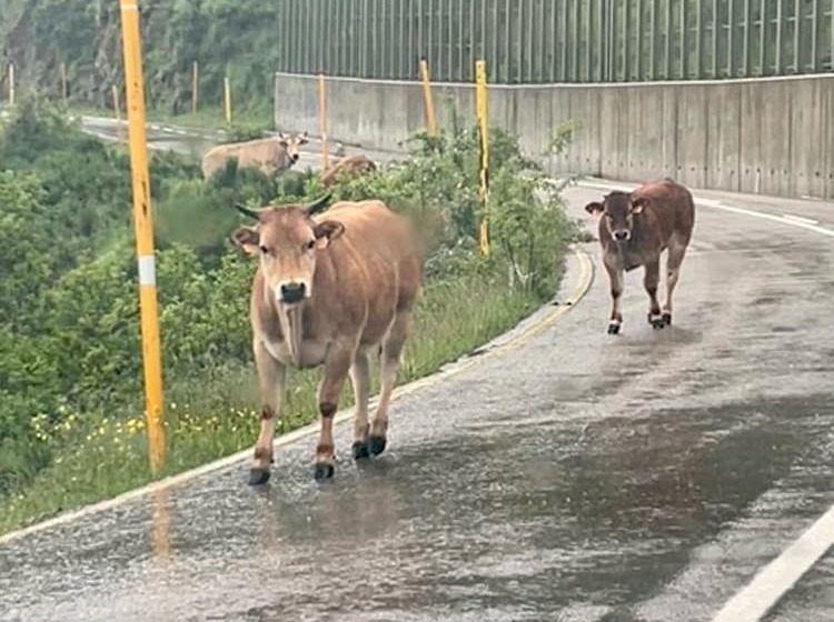 فندق Coronel Somiedo