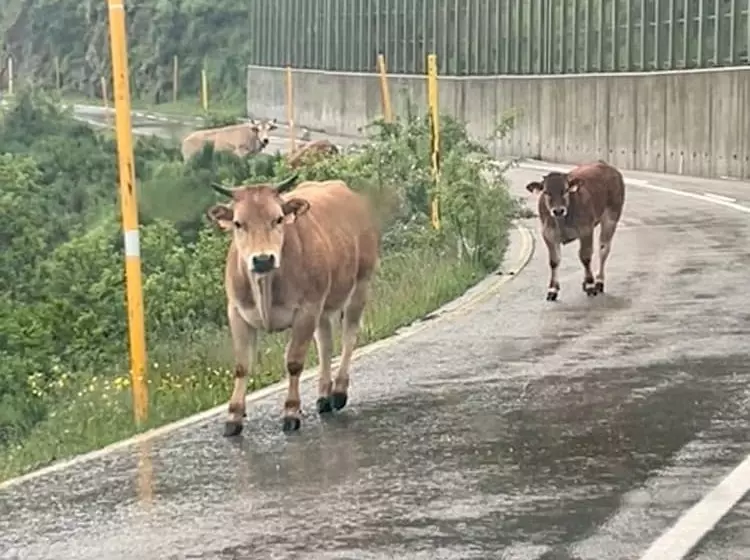 ホテル Coronel Somiedo