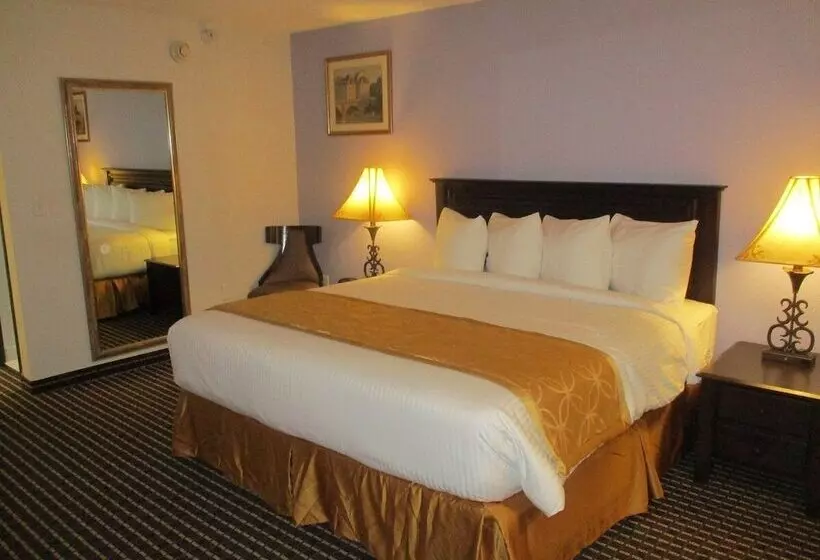 Hotelli Iah 45 Airport Inn & Suites