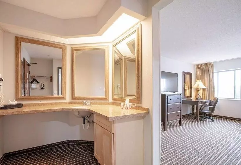 Hotelli Iah 45 Airport Inn & Suites