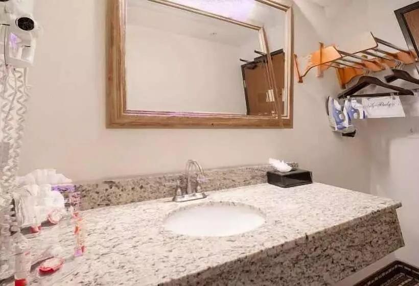 Hotelli Iah 45 Airport Inn & Suites