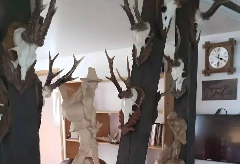 Beautiful Querbach Hut With Spring Water