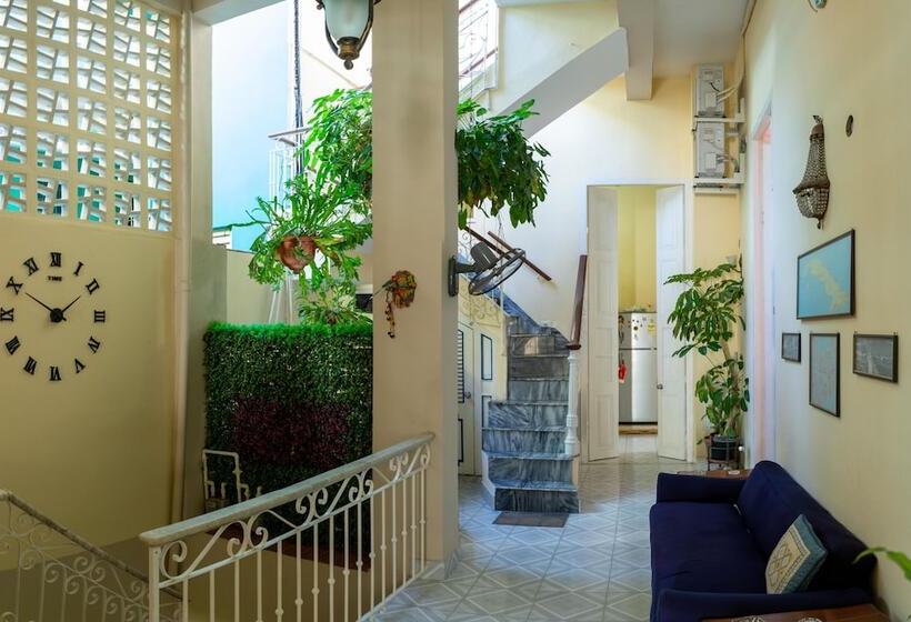 تختخواب و صبحانه Casa Colonial Armando