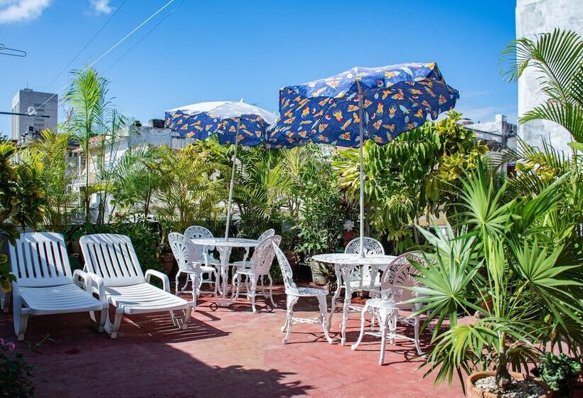 تختخواب و صبحانه Casa Colonial Armando