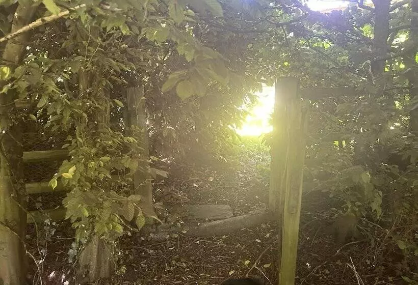 Cozy Cabin Retreat In Bedford