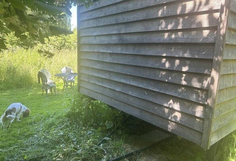 Cozy Cabin Retreat In Bedford