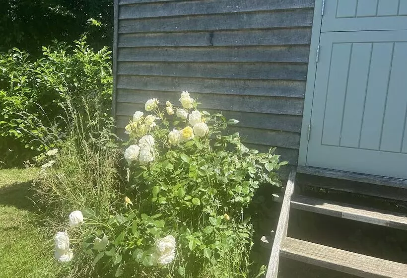 Cozy Cabin Retreat In Bedford
