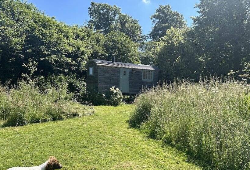 Cozy Cabin Retreat In Bedford