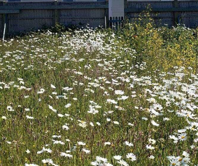 Watergate Lane Hideout