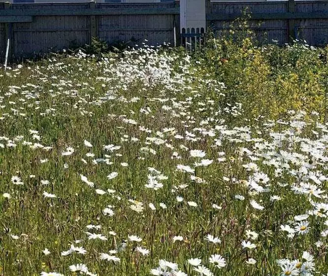 Watergate Lane Hideout