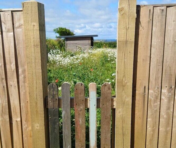 Watergate Lane Hideout