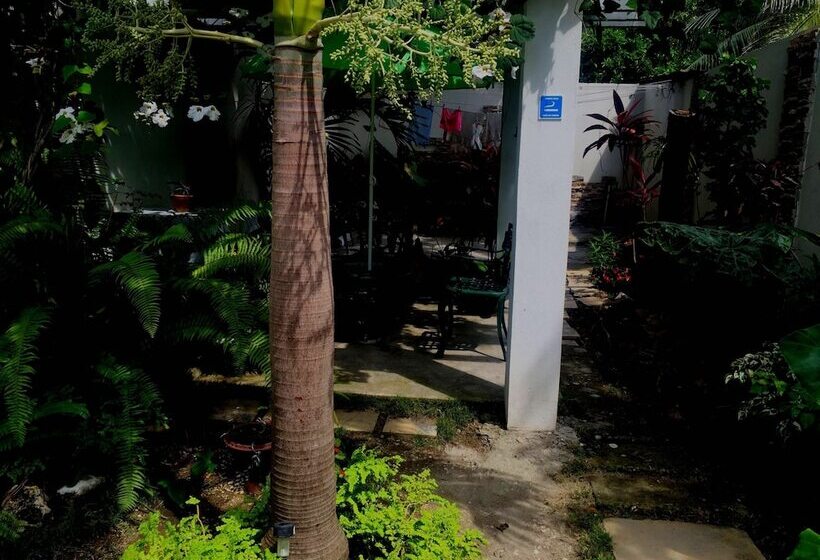 تختخواب و صبحانه Hostal Plaza