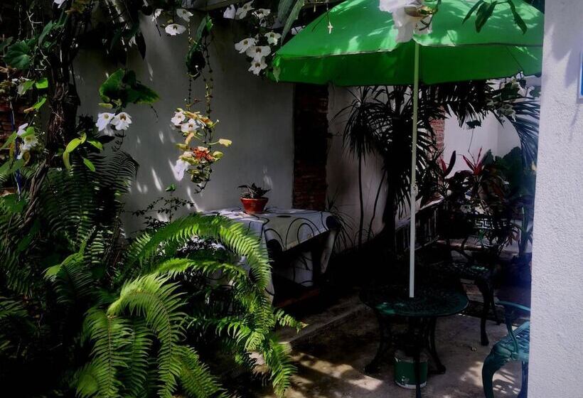 تختخواب و صبحانه Hostal Plaza