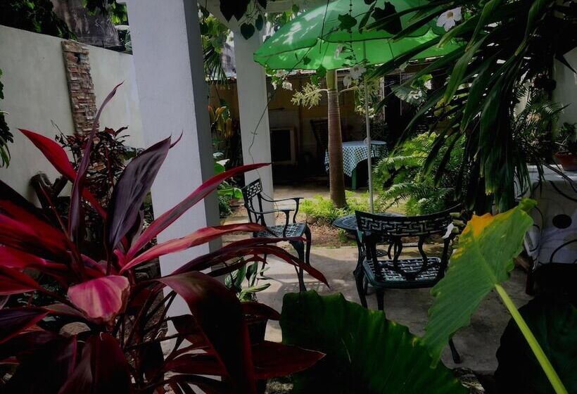 تختخواب و صبحانه Hostal Plaza