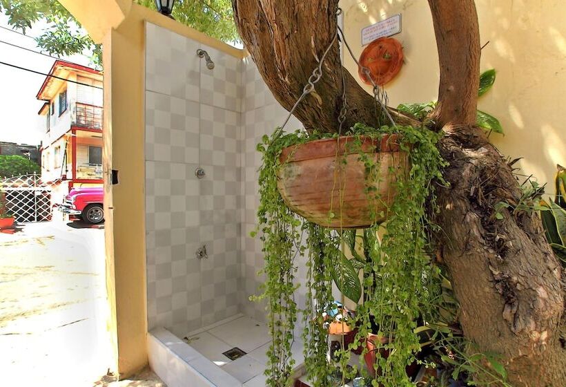 پانسیون Hostal Selfa