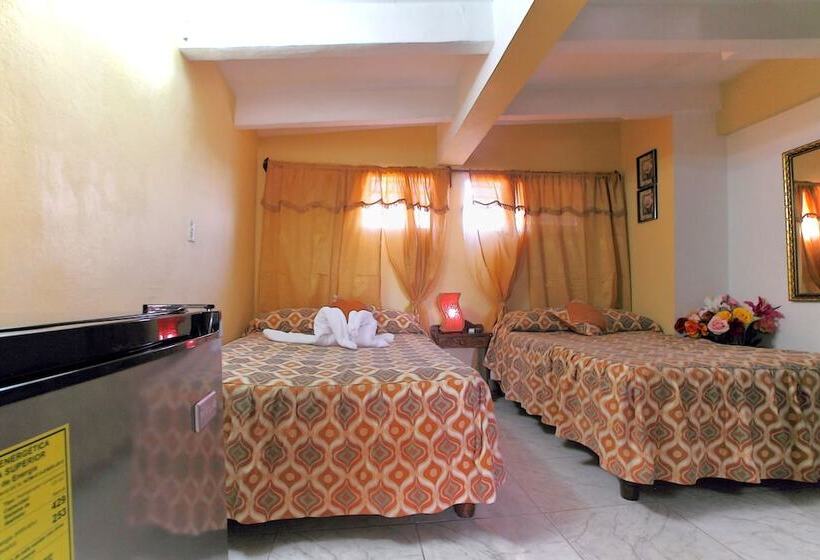 پانسیون Hostal Selfa