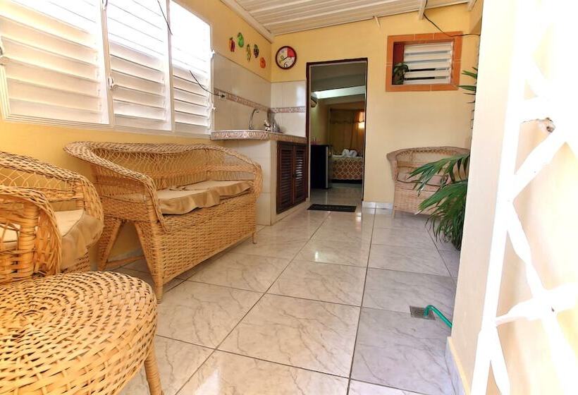 پانسیون Hostal Selfa