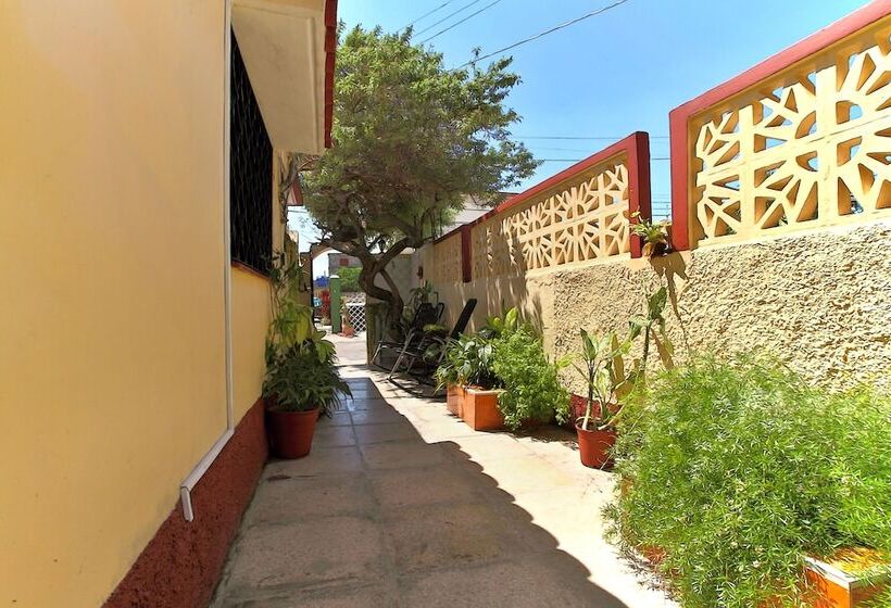 پانسیون Hostal Selfa