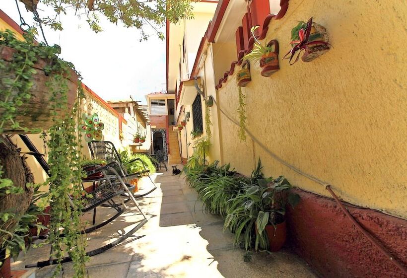 پانسیون Hostal Selfa