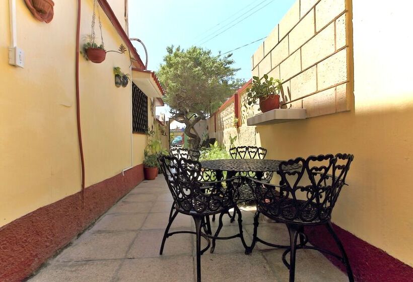 پانسیون Hostal Selfa