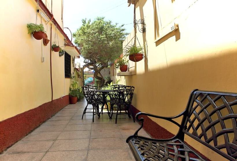 پانسیون Hostal Selfa