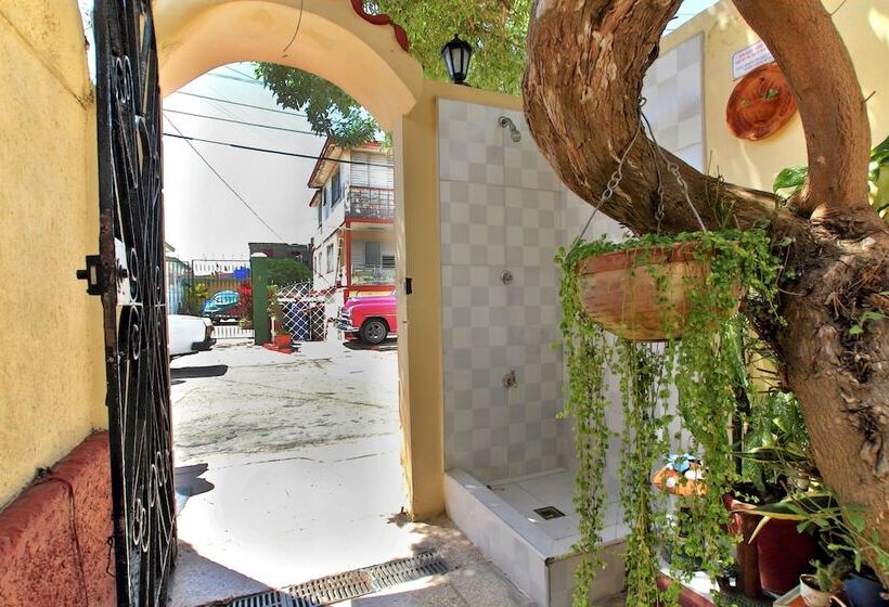 پانسیون Hostal Selfa